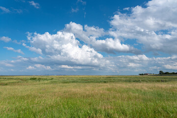 Landscape with salt marshes by Fedderwardersiel