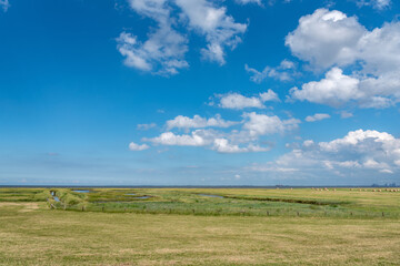 Obraz premium Landscape with salt marshes by Fedderwardersiel