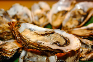 closeup of platter of large open shell fresh oyster shellfish