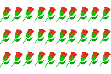 Red roses placed on a white background, patterns.