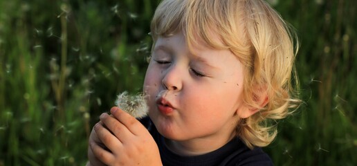 Little cute curly haired blond boy blowing on a dandelion. Summertime, vacation, childhood banner.	