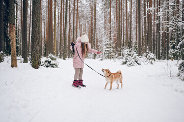 Happy family weekend - little cute girl in pink warm outwear walking having fun with red shiba inu dog in snowy white cold winter forest outdoors. Kids sport vacation activities concept.