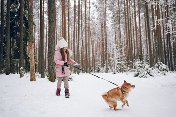 Happy family weekend - little cute girl in pink warm outwear walking having fun with red shiba inu dog in snowy white cold winter forest outdoors. Kids sport vacation activities concept.