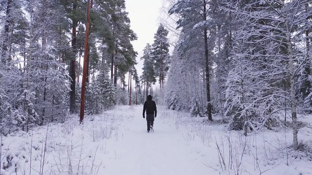 man walking away on a hiking trail in a snow covered woodland