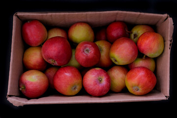 Fresh organic apples in torn cardboard box. Top view