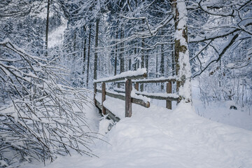 wunderschön verschneite winterlandschaft im Salzburger Land
