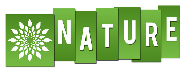 Nature Green Leaves Circular Boxes Horizontal 