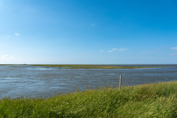 Coming tide in the salt marshes by Fedderwardersiel
