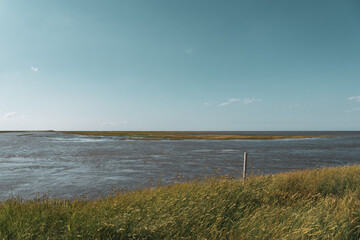 Coming tide in the salt marshes by Fedderwardersiel