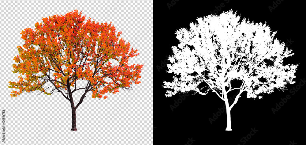 Poster Autumn season tree on transparent background with clippings path