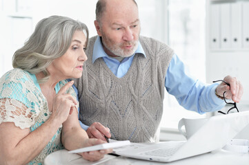 Obraz premium senior couple using laptop at home