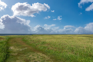 Fototapeta na wymiar Landscape with salt marshes by Fedderwardersiel