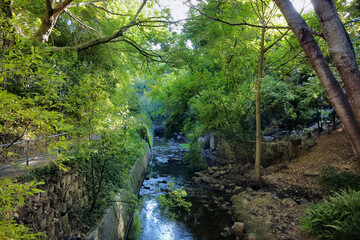 Urban River