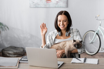 cheerful freelancer holding cat and waving hand during video call on laptop - obrazy, fototapety, plakaty
