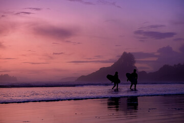 Tofino Vancouver Island Pacific rim coast, surfers with board during sunset at the beach, surfers...