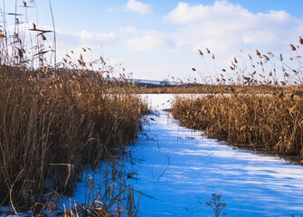 Winter views of Hungarian country side
