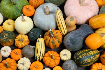 Squash and pumpkins.