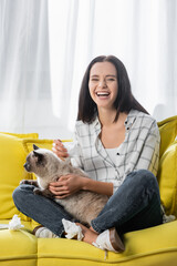 excited woman laughing while sitting on yellow sofa with cat