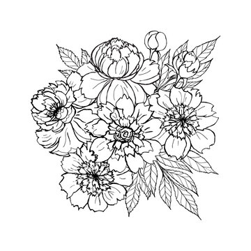 Peony rose flowers bouquet composition, outline realistic sketch drawing. Vector illustration for design t-shirt, card, coloring page, wedding decoration.