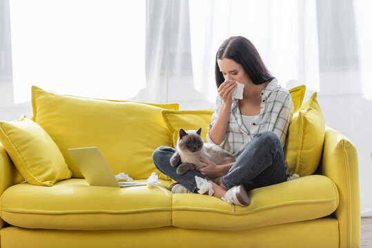 allergic woman wiping nose with paper napkin while sitting on sofa with cat near laptop