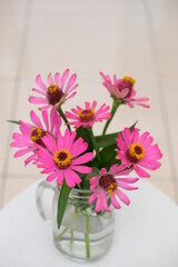Bouquet of pink Zinnia flowers from garden in a glass vase.