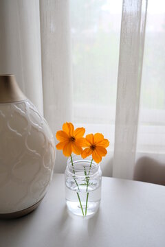 Orange Flowers On The Table Near Window.