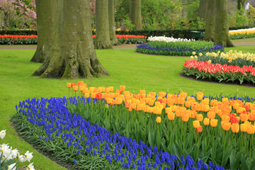 Frühling im Keukenhof in Lisse, Holland