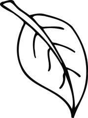 Isolated white and black vector icon flower leaf