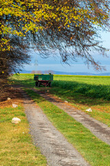 Ein landwirtschaftlicher Anhänger steht auf einem Feldweg im Schatten eines Baumes. - obrazy, fototapety, plakaty