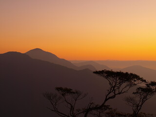 Fototapeta na wymiar high altitude mountains and tree silhouette in the twilight