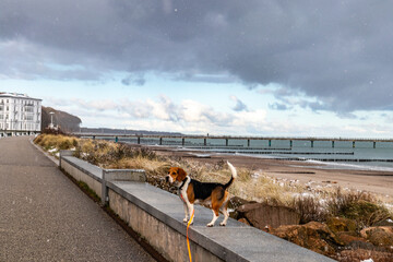 Heiligendamm