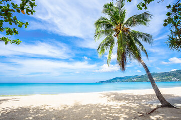 Summer holiday and vacation background concept of beautiful leaves frame trees on tropical beach.