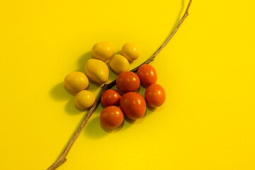 Summer trendy trendy sunlight pattern with yellow and orange peanut dragees on a yellow background indicating yin and yang