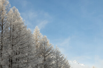 Winter Landscape in Switzerland