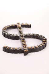 Portrait of Dollar sign