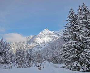 heavy snow covers the mountains and tress of Chamonix in France. A cross country skier carves a...