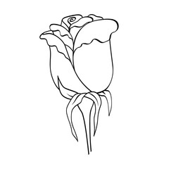 Rose flower isolated on white background. Blooming bud, leaves, black outline hand drawn sketch. Vector element for natural, wedding design, plant, botanical illustration, coloring book, tattoo.