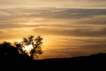 Fototapeta na wymiar Beautiful Sunset in Countryside