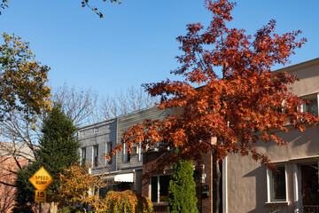 Naklejka premium Row of Old Neighborhood Homes in Astoria Queens New York with Colorful Trees during Autumn