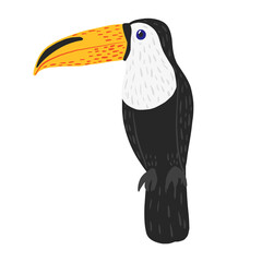 Toucan sits isolated on white background. Cute character from tropic. Exotic bird life in jungle. © Purple_Lamp
