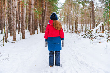 Naklejka premium Rear view of a little girl in a red jacket standing in the middle of a path in a winter pine forest