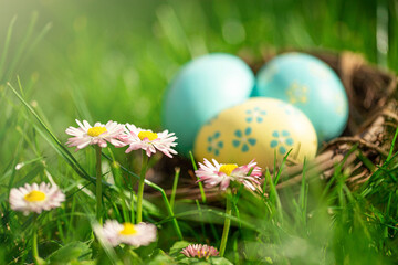 Osternest versteckt im Gras