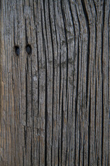 The texture of a tree that has become gray from time. Antique wooden board.