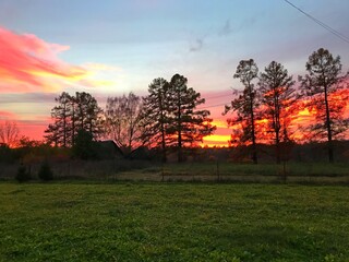 summer sunset on the edge of the forest red sky