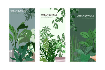 Set of three card templates with indoor plants