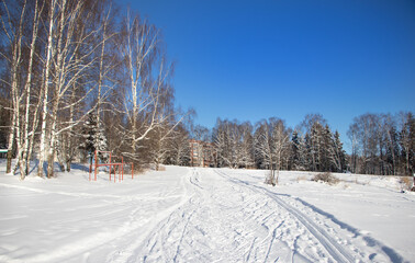 Fototapeta na wymiar skiing in the forest