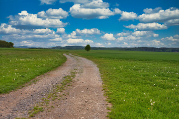 Feldweg duch Wiesenlandschaft im Sommer bewölkter Himmel