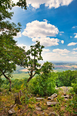 Landschaft im Sommer mit steinigem Boden im Wald