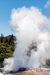 Pohutu Geyser in Te Puia