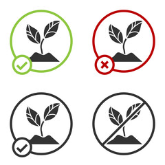 Black Plant icon isolated on white background. Seed and seedling. Leaves sign. Leaf nature. Circle button. Vector Illustration.